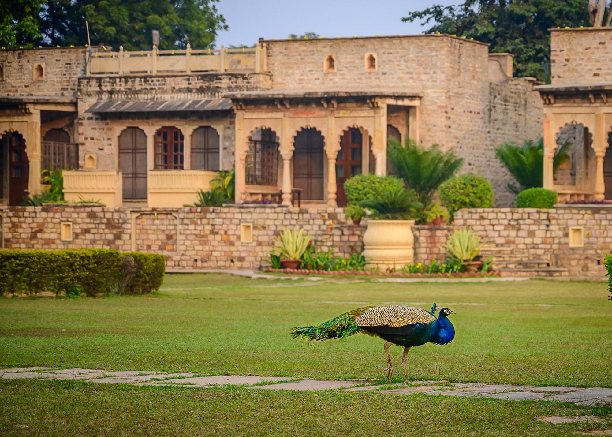 Отель Neemrana'S - Deo Bagh Гвалиор Экстерьер фото